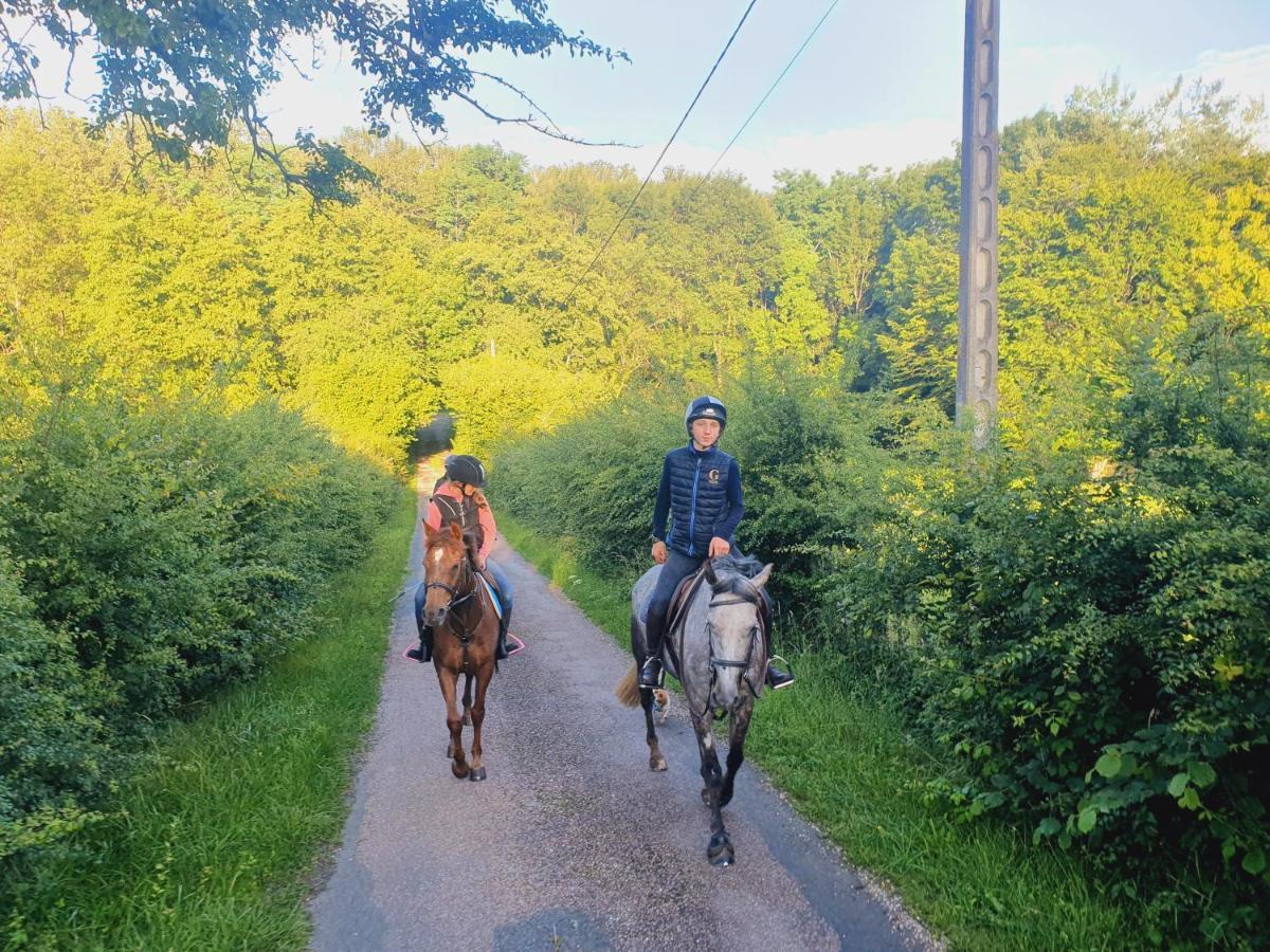 Saint-Amand-en-Puisaye Ferme Equestre & Chambres D'Hotes Gateau Stables Proche Guedelon מראה חיצוני תמונה
