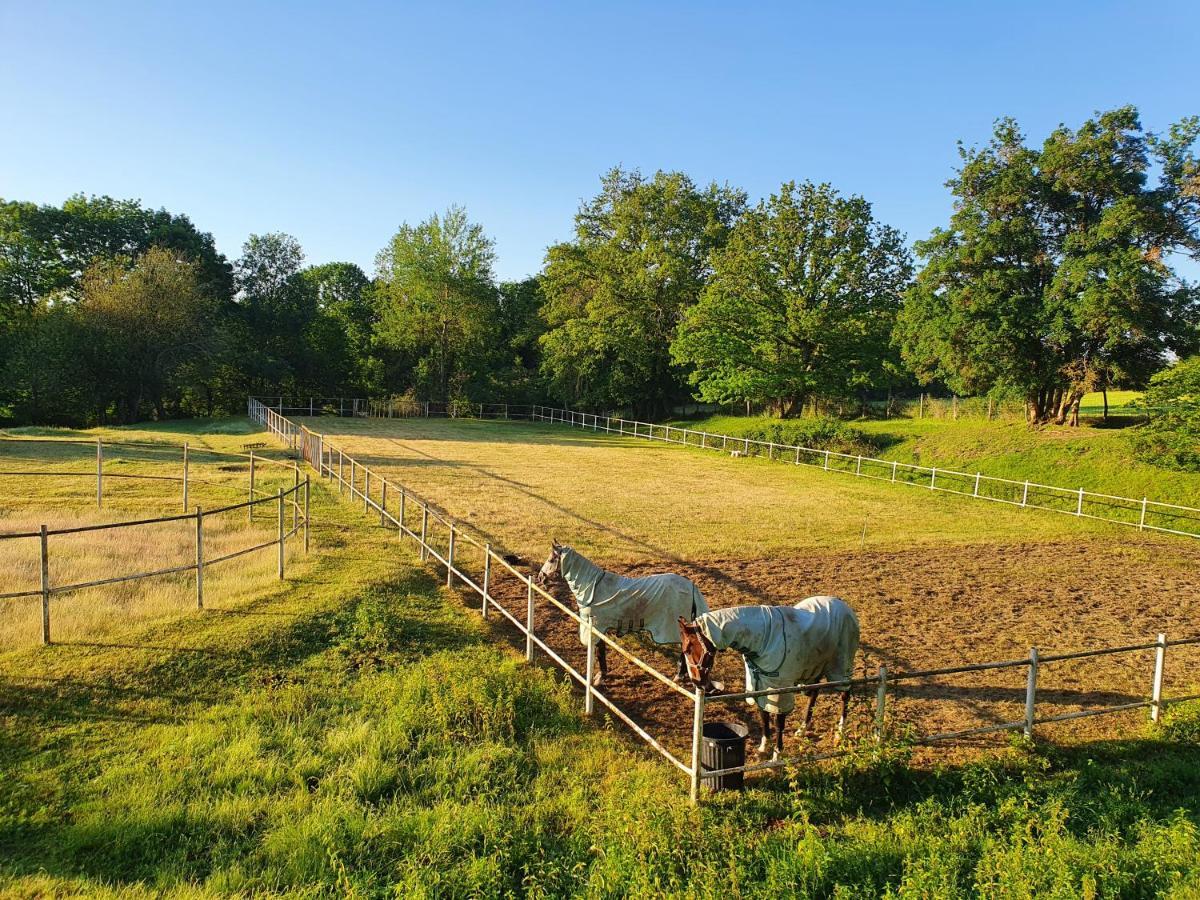 Saint-Amand-en-Puisaye Ferme Equestre & Chambres D'Hotes Gateau Stables Proche Guedelon מראה חיצוני תמונה