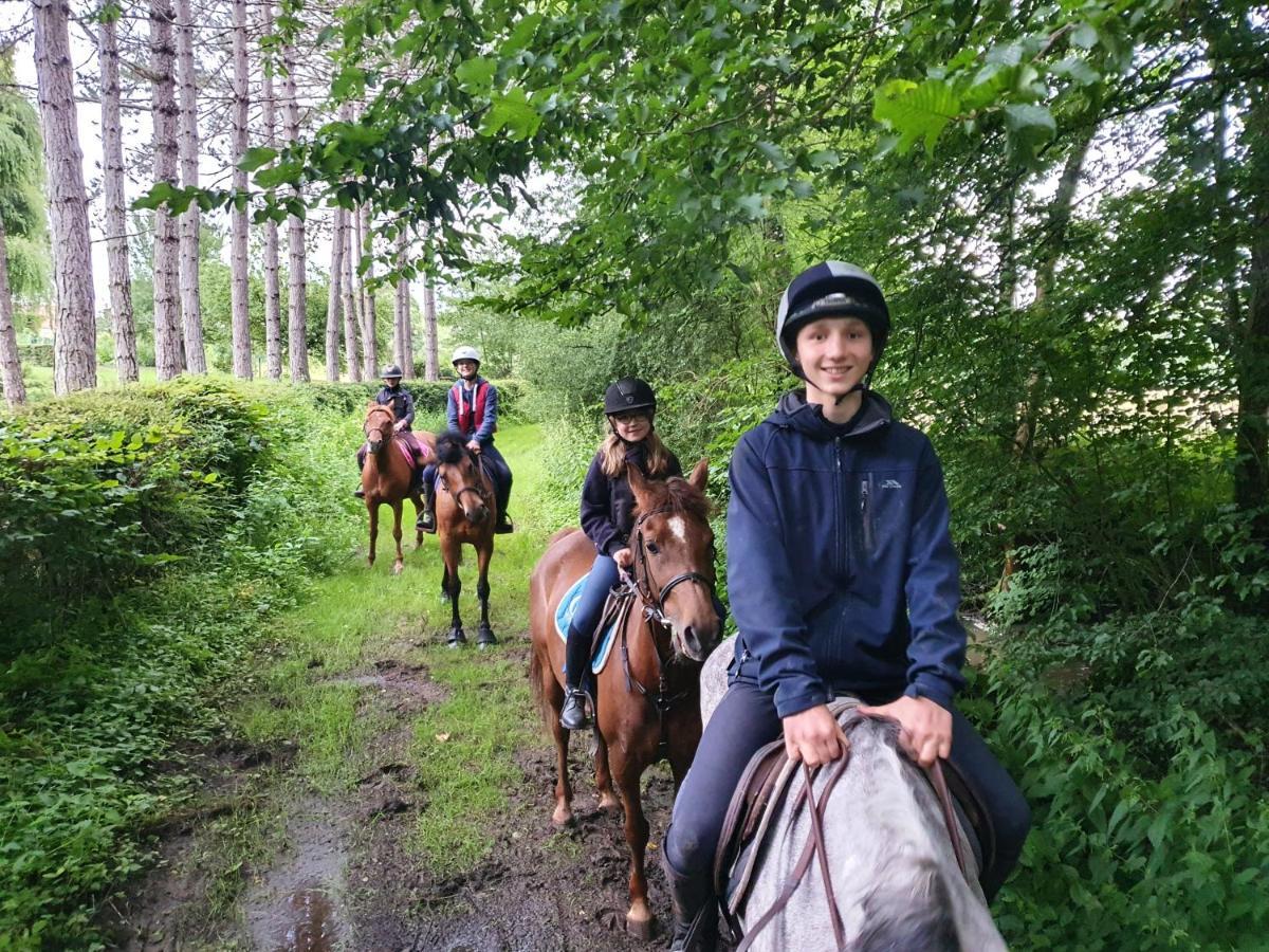 Saint-Amand-en-Puisaye Ferme Equestre & Chambres D'Hotes Gateau Stables Proche Guedelon מראה חיצוני תמונה