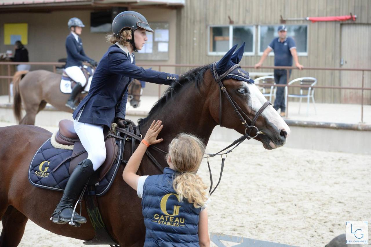 Saint-Amand-en-Puisaye Ferme Equestre & Chambres D'Hotes Gateau Stables Proche Guedelon מראה חיצוני תמונה