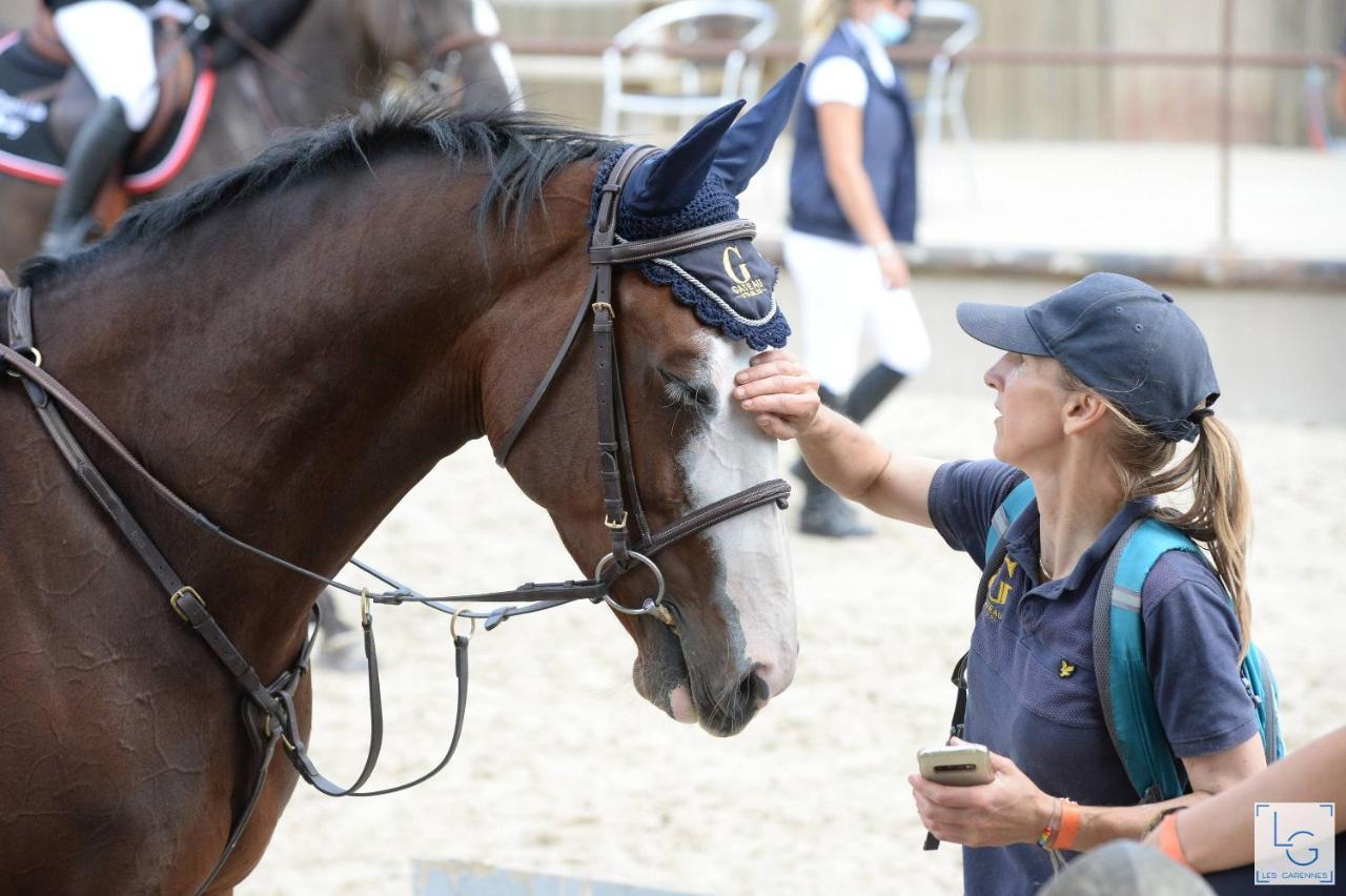 Saint-Amand-en-Puisaye Ferme Equestre & Chambres D'Hotes Gateau Stables Proche Guedelon מראה חיצוני תמונה