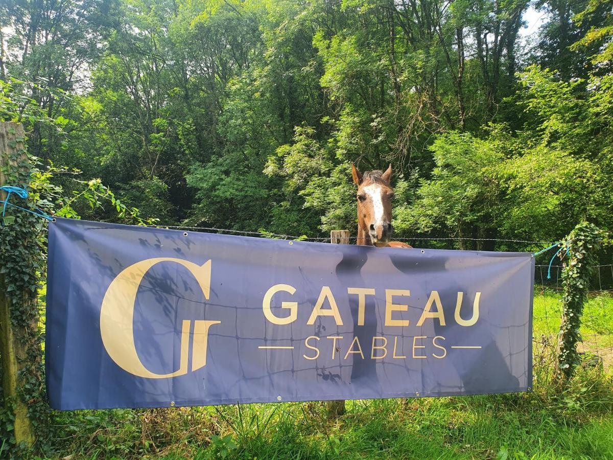 Saint-Amand-en-Puisaye Ferme Equestre & Chambres D'Hotes Gateau Stables Proche Guedelon מראה חיצוני תמונה