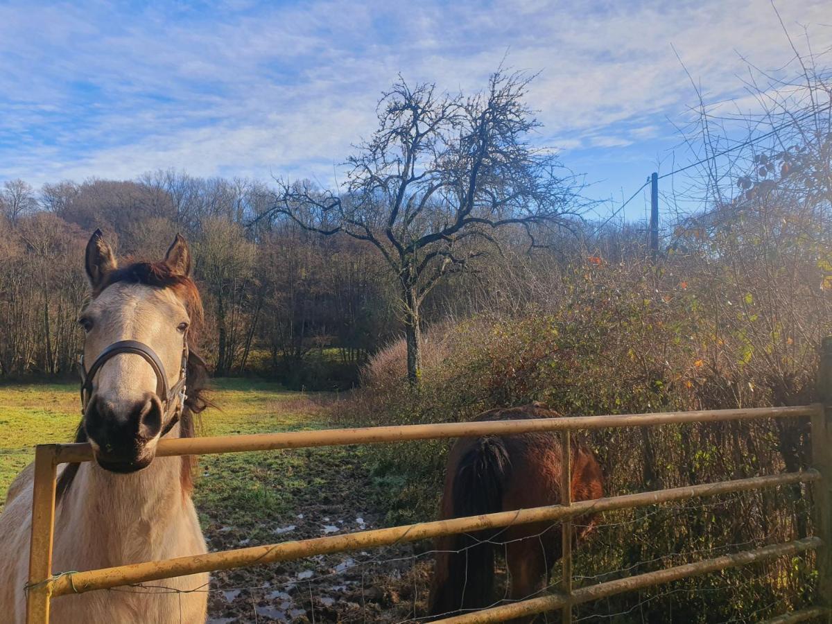 Saint-Amand-en-Puisaye Ferme Equestre & Chambres D'Hotes Gateau Stables Proche Guedelon מראה חיצוני תמונה