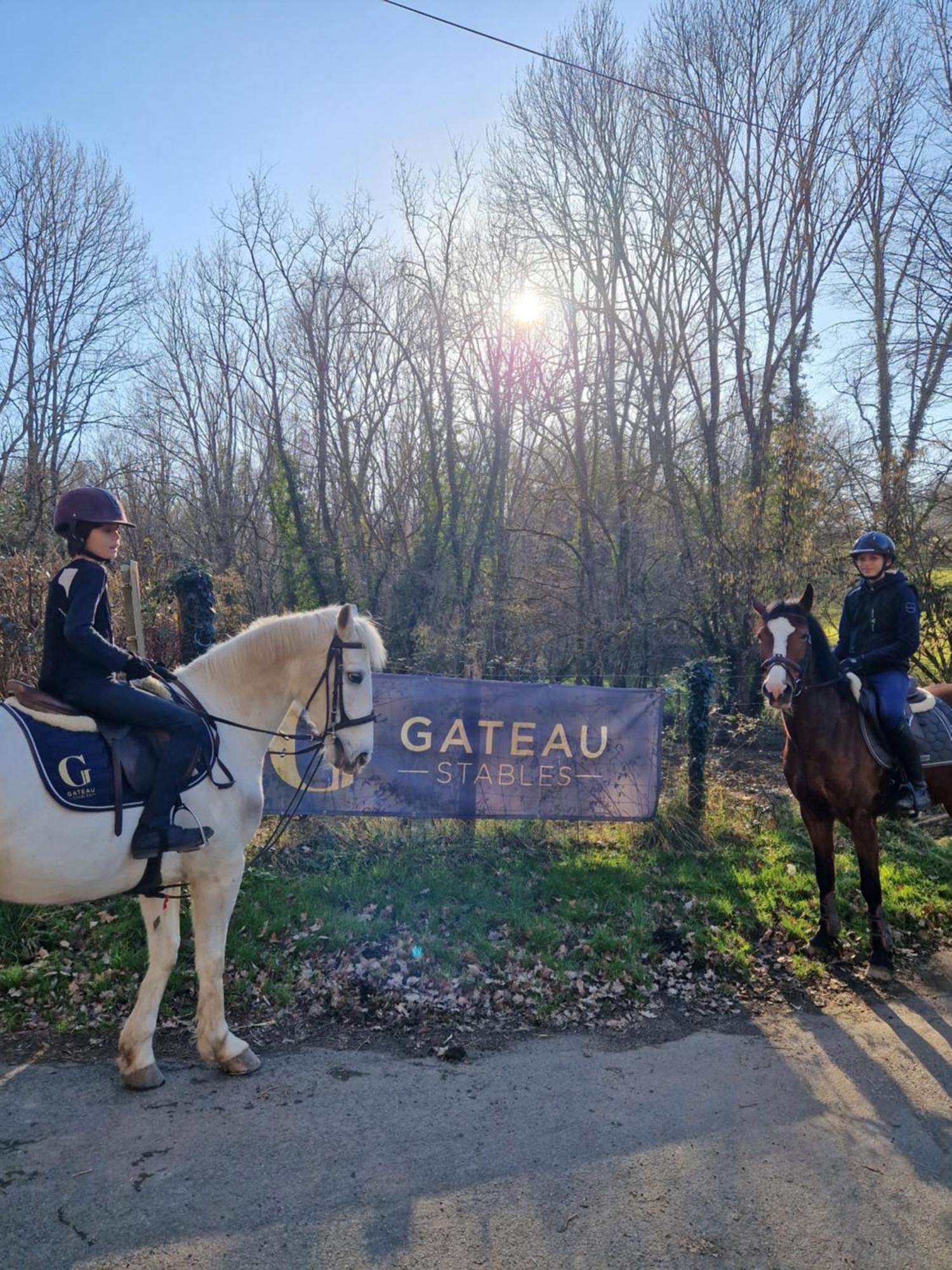 Saint-Amand-en-Puisaye Ferme Equestre & Chambres D'Hotes Gateau Stables Proche Guedelon מראה חיצוני תמונה