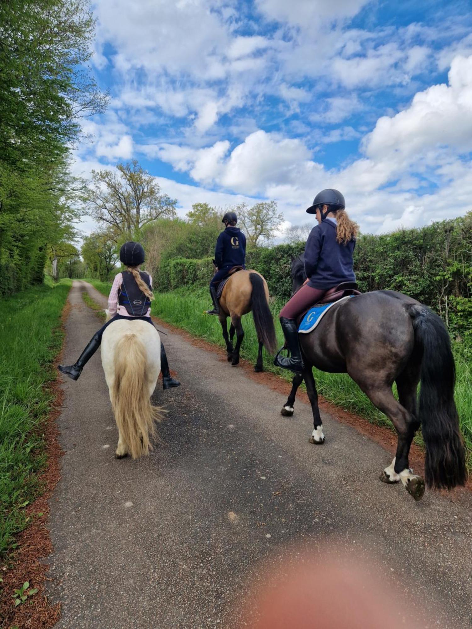 Saint-Amand-en-Puisaye Ferme Equestre & Chambres D'Hotes Gateau Stables Proche Guedelon מראה חיצוני תמונה