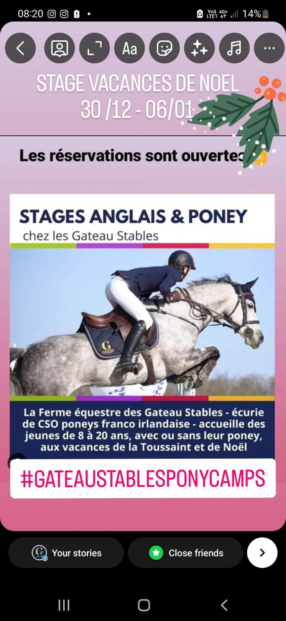 Saint-Amand-en-Puisaye Ferme Equestre & Chambres D'Hotes Gateau Stables Proche Guedelon מראה חיצוני תמונה