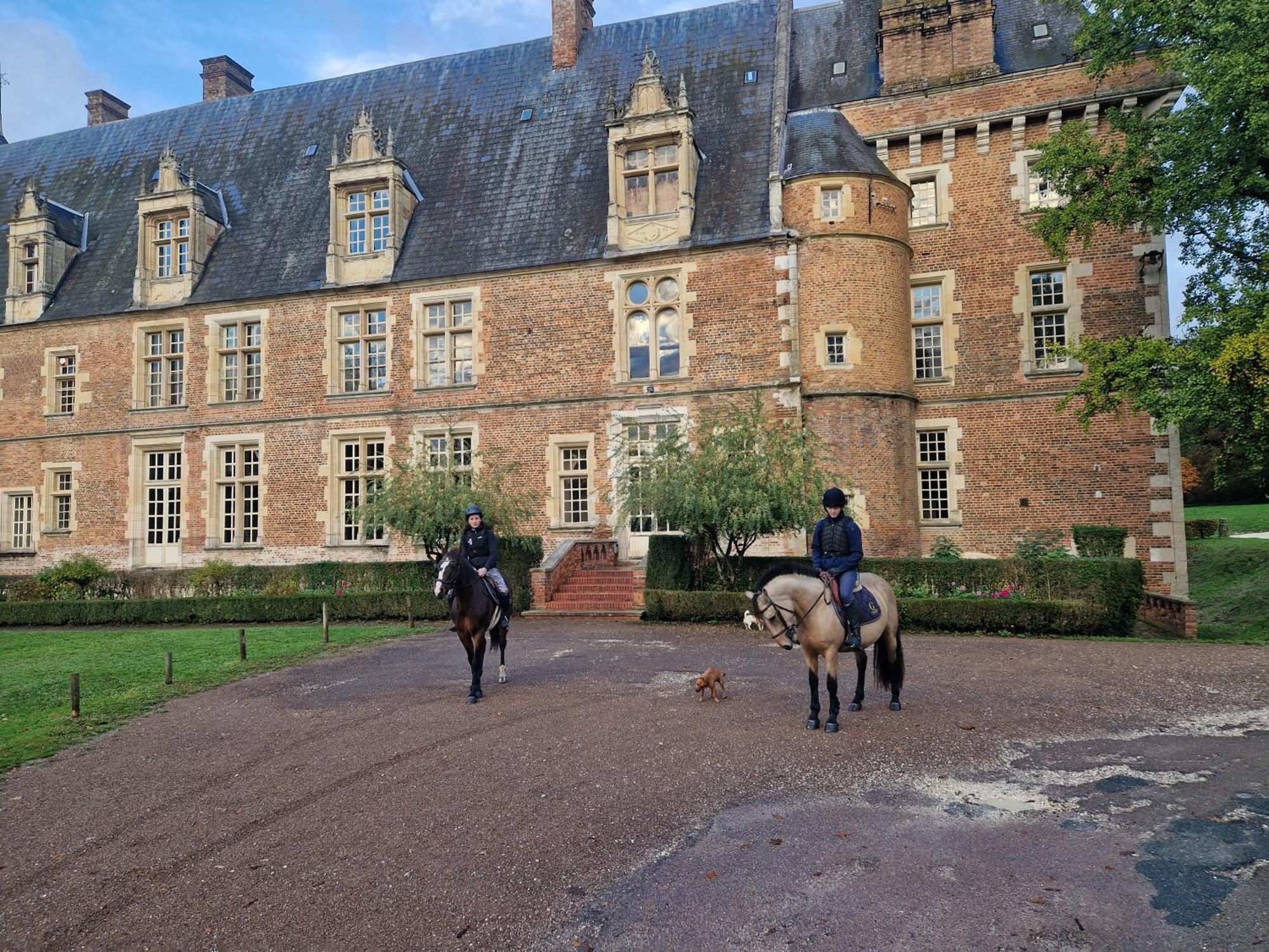 Saint-Amand-en-Puisaye Ferme Equestre & Chambres D'Hotes Gateau Stables Proche Guedelon מראה חיצוני תמונה