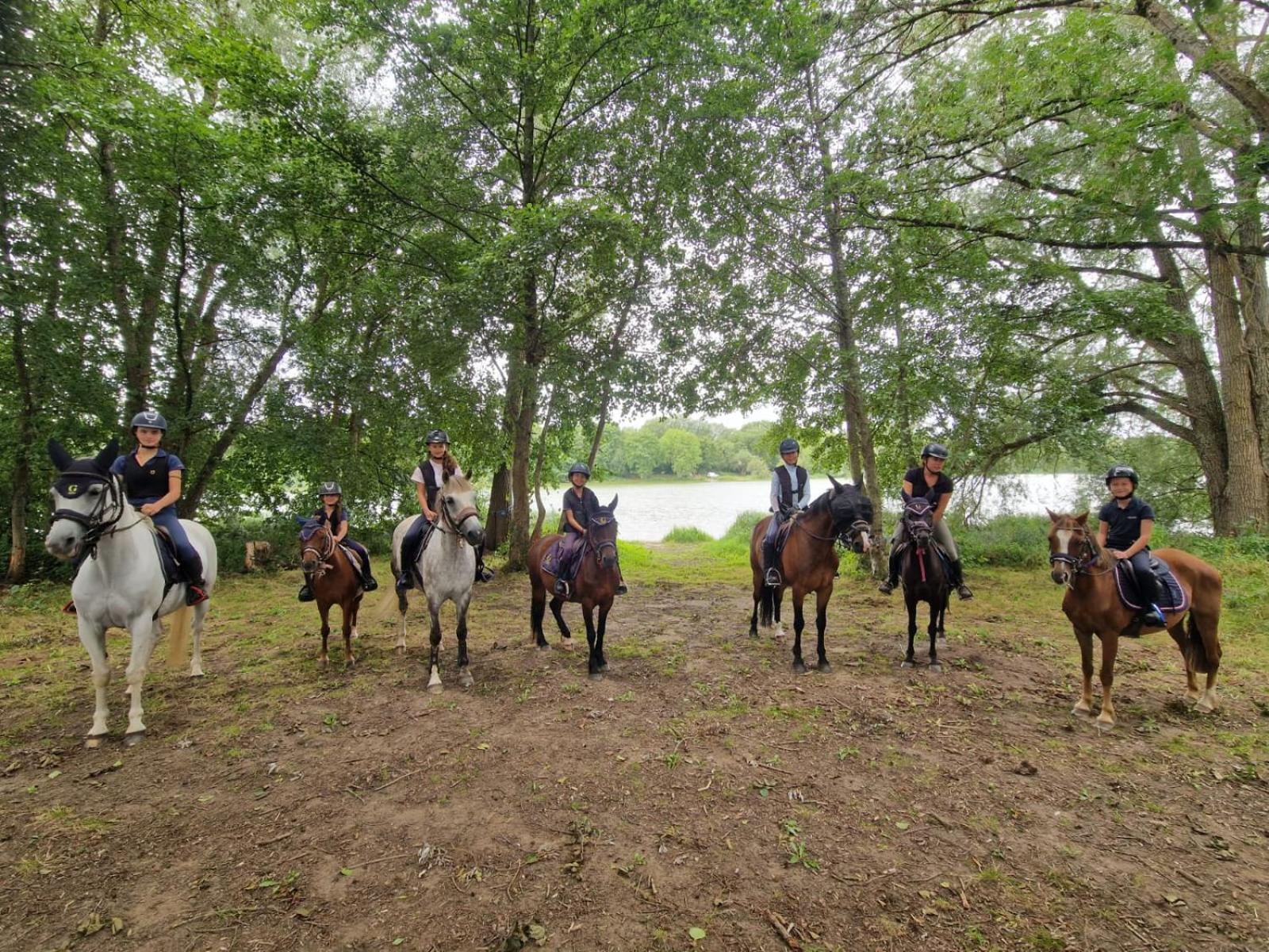 Saint-Amand-en-Puisaye Ferme Equestre & Chambres D'Hotes Gateau Stables Proche Guedelon מראה חיצוני תמונה