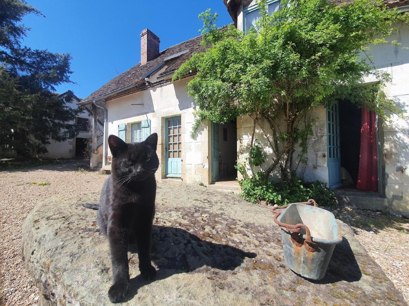 Saint-Amand-en-Puisaye Ferme Equestre & Chambres D'Hotes Gateau Stables Proche Guedelon מראה חיצוני תמונה
