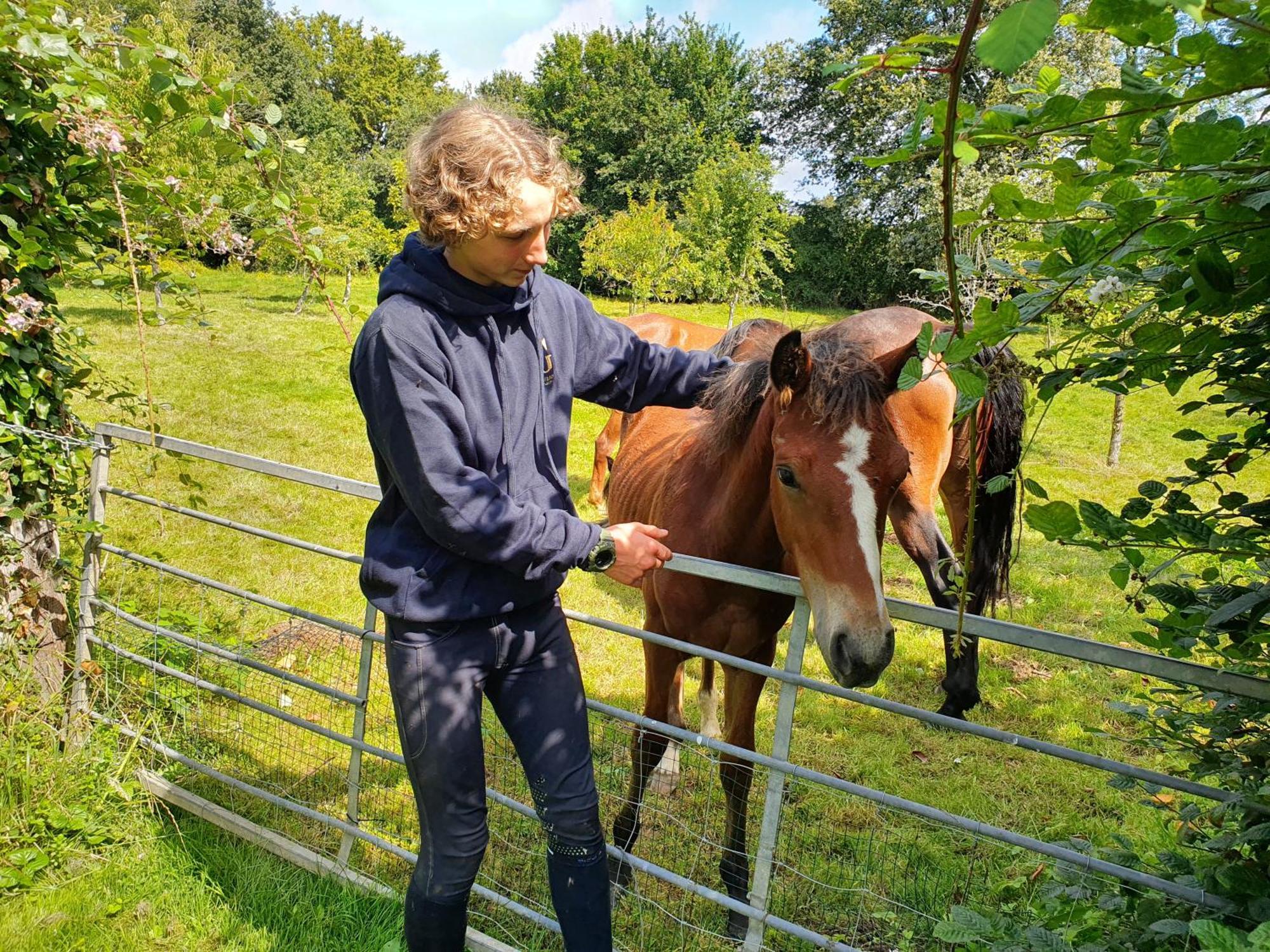 Saint-Amand-en-Puisaye Ferme Equestre & Chambres D'Hotes Gateau Stables Proche Guedelon מראה חיצוני תמונה