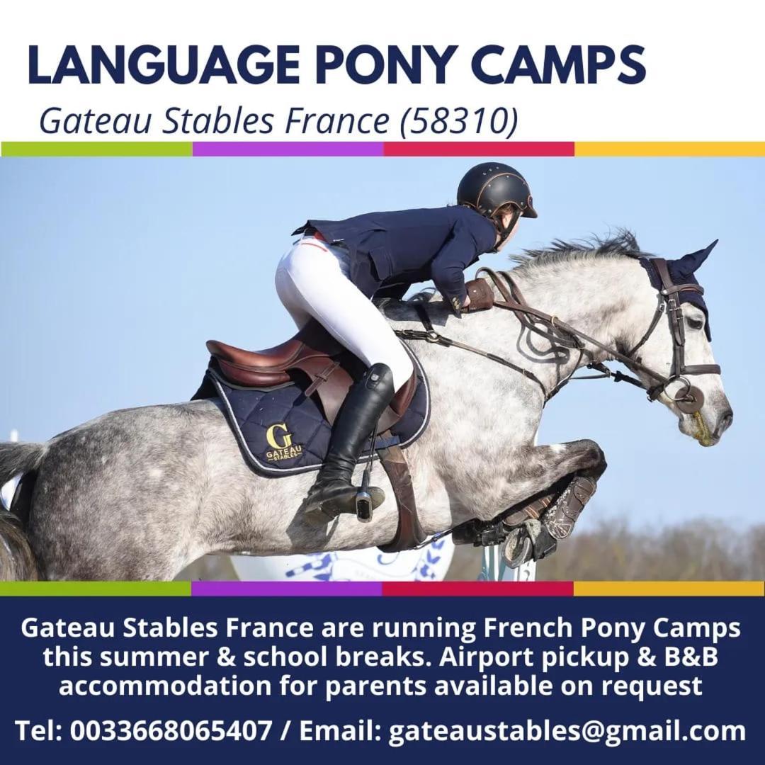 Saint-Amand-en-Puisaye Ferme Equestre & Chambres D'Hotes Gateau Stables Proche Guedelon מראה חיצוני תמונה