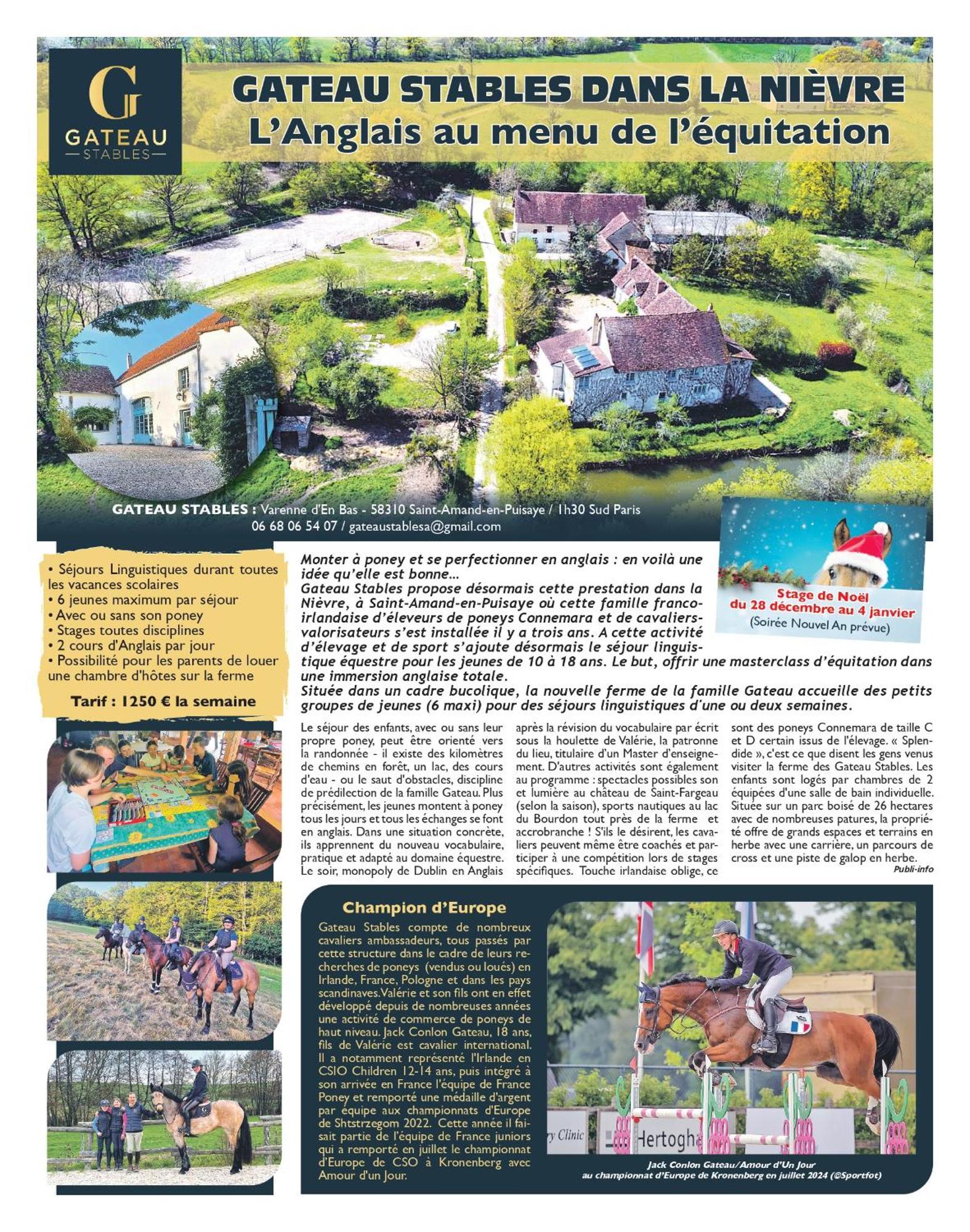 Saint-Amand-en-Puisaye Ferme Equestre & Chambres D'Hotes Gateau Stables Proche Guedelon מראה חיצוני תמונה